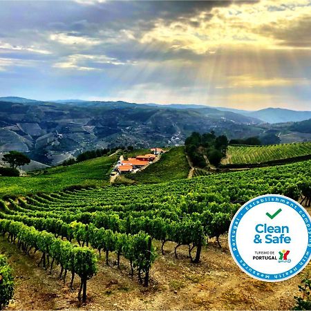 Quinta Dos Espinheiros Villa Provesende Luaran gambar