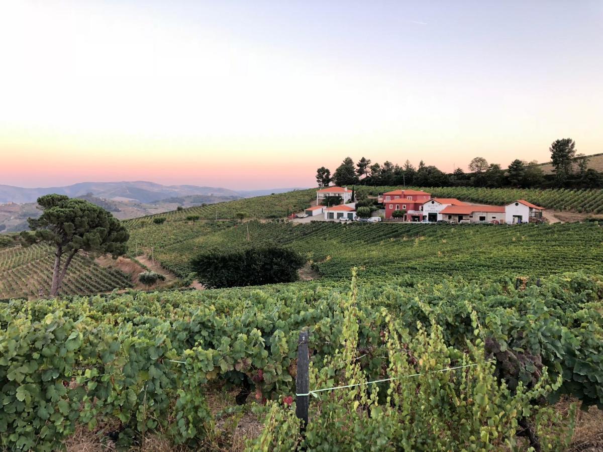 Quinta Dos Espinheiros Villa Provesende Luaran gambar