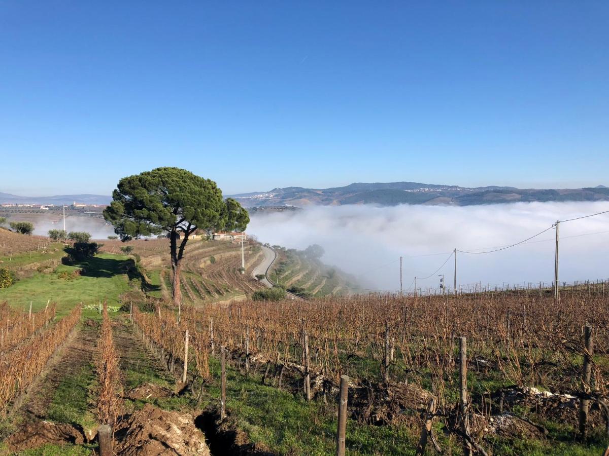 Quinta Dos Espinheiros Villa Provesende Luaran gambar