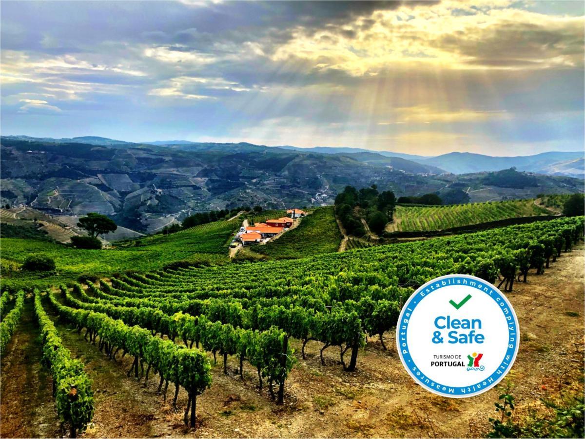 Quinta Dos Espinheiros Villa Provesende Luaran gambar