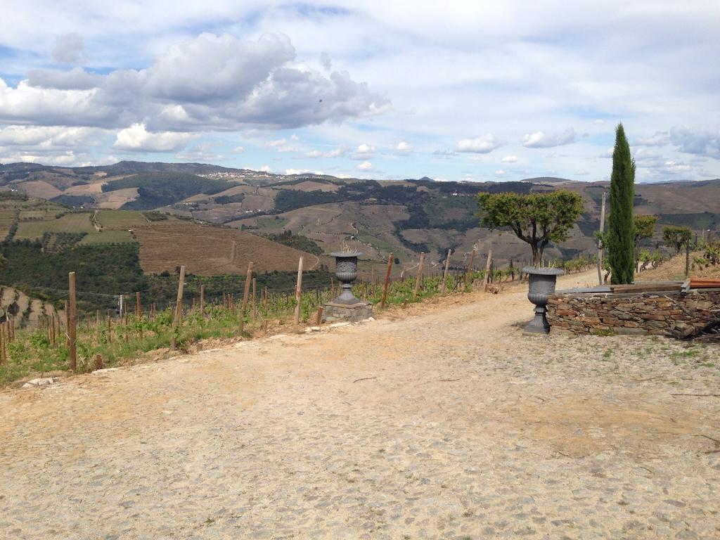 Quinta Dos Espinheiros Villa Provesende Bilik gambar