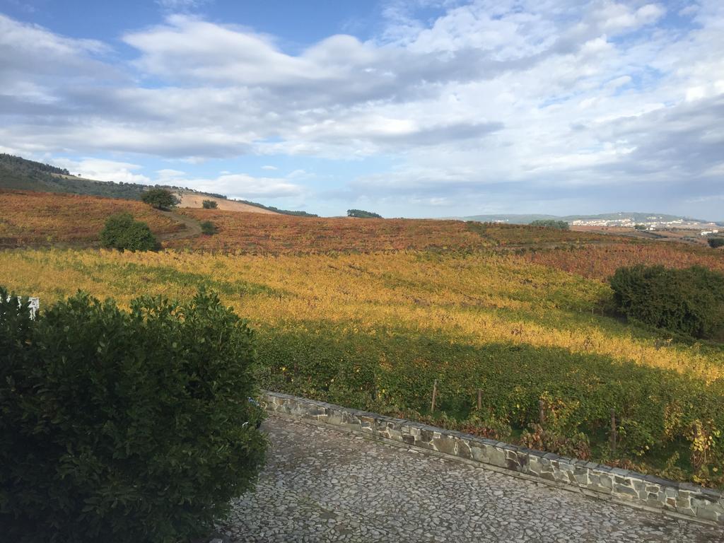 Quinta Dos Espinheiros Villa Provesende Luaran gambar