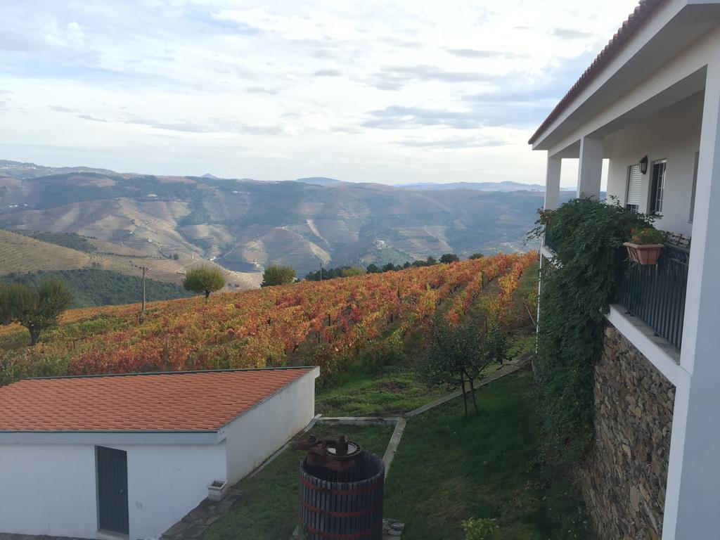 Quinta Dos Espinheiros Villa Provesende Luaran gambar