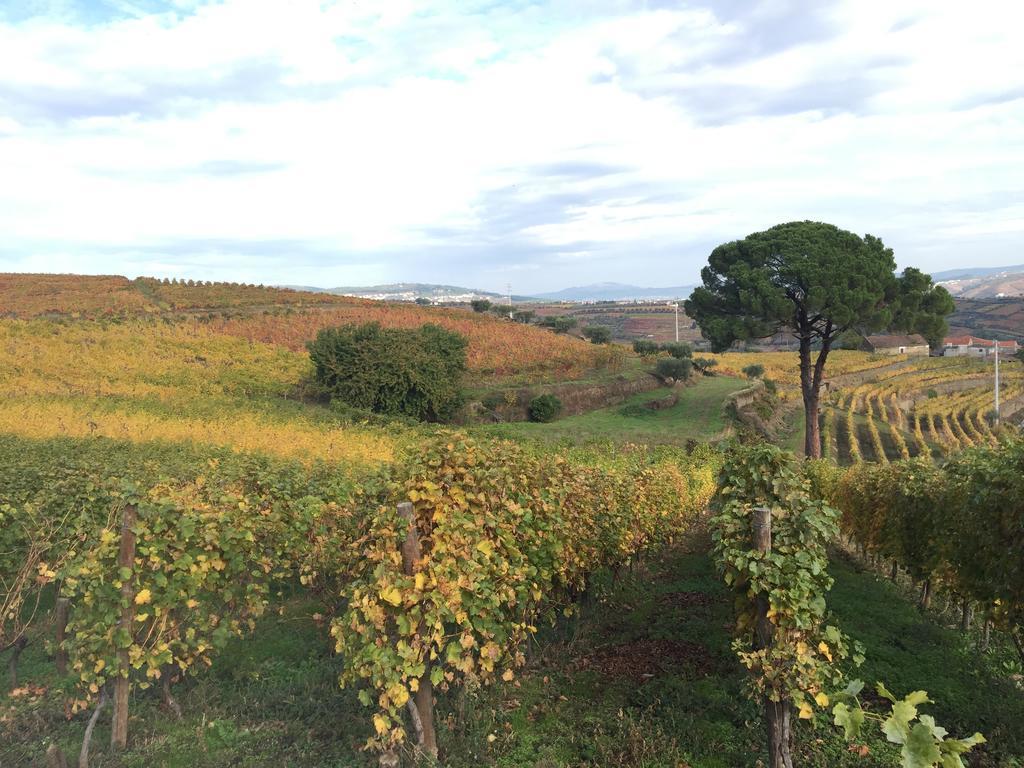 Quinta Dos Espinheiros Villa Provesende Luaran gambar