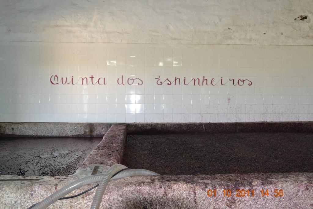 Quinta Dos Espinheiros Villa Provesende Luaran gambar