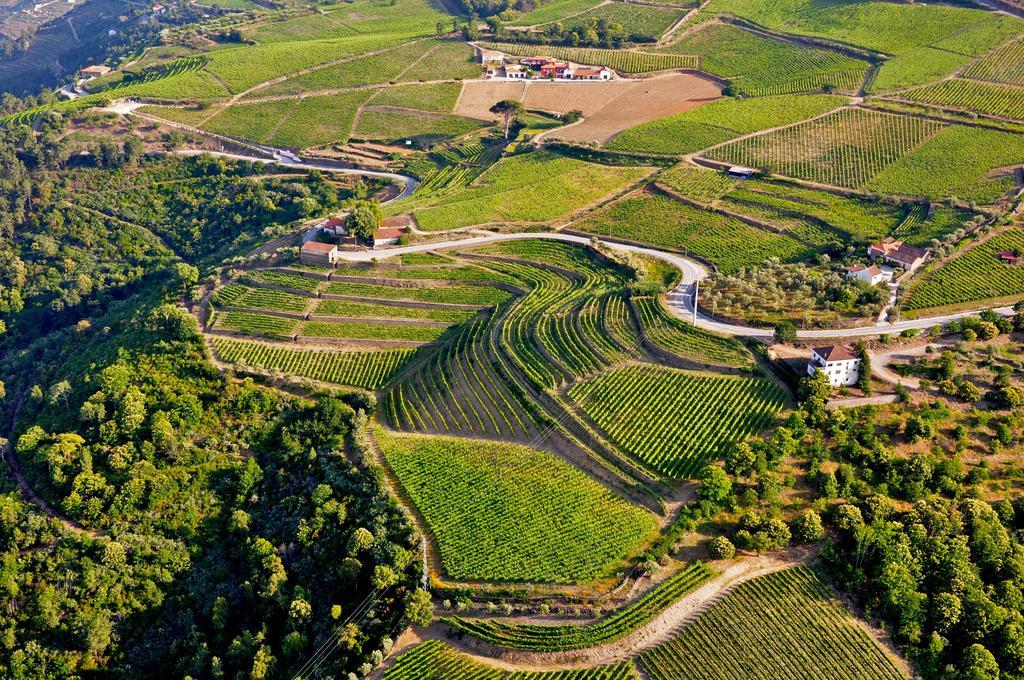 Quinta Dos Espinheiros Villa Provesende Luaran gambar