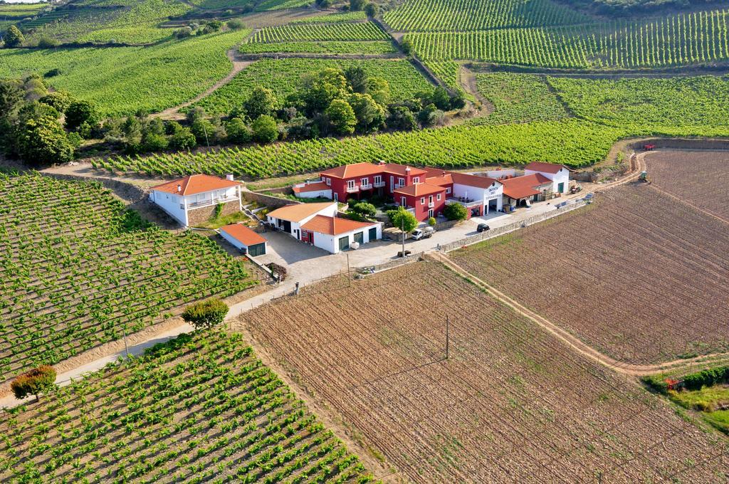 Quinta Dos Espinheiros Villa Provesende Luaran gambar