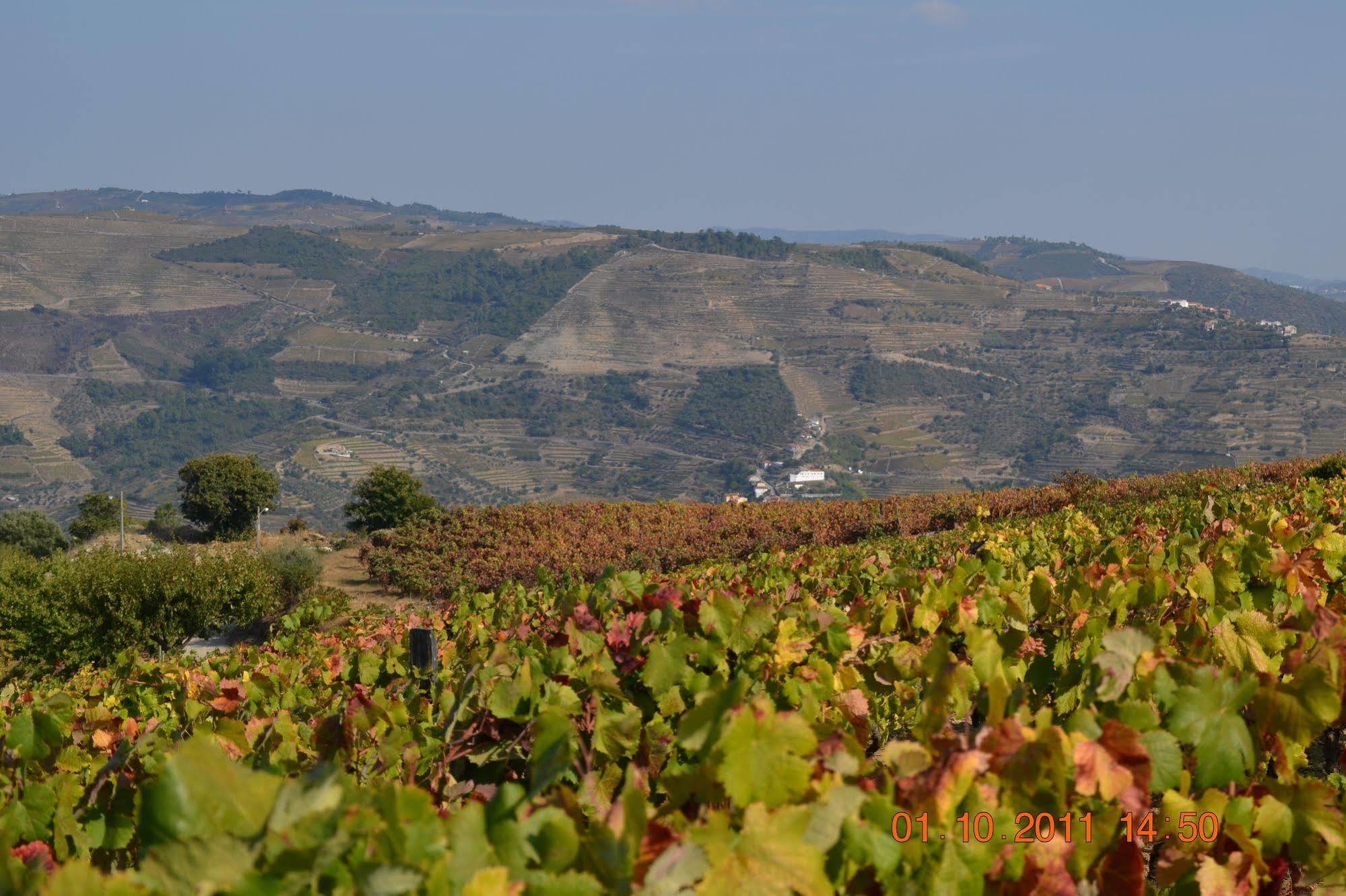 Quinta Dos Espinheiros Villa Provesende Luaran gambar