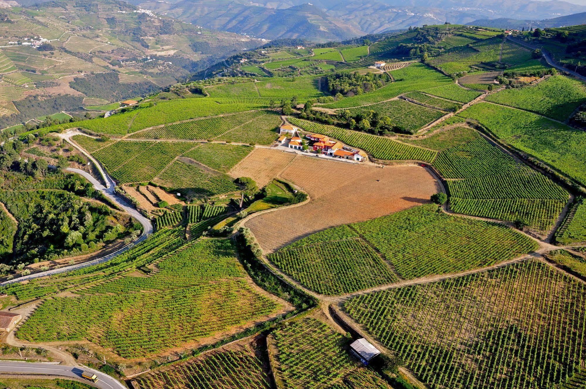 Quinta Dos Espinheiros Villa Provesende Luaran gambar