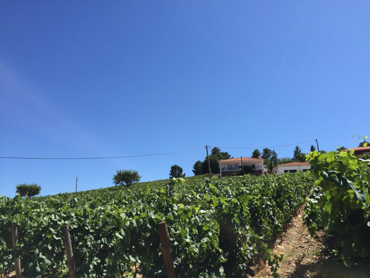 Quinta Dos Espinheiros Villa Provesende Bilik gambar