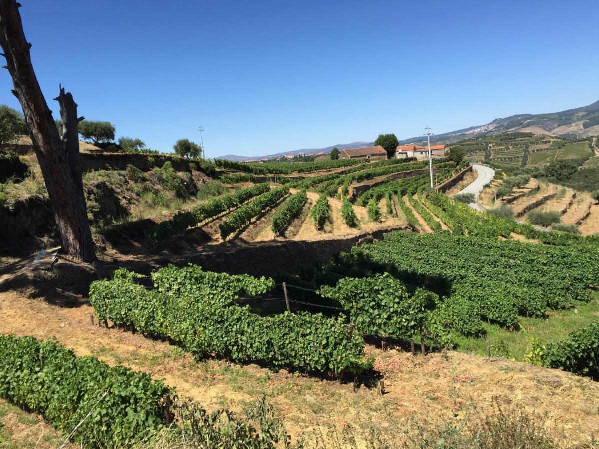Quinta Dos Espinheiros Villa Provesende Bilik gambar