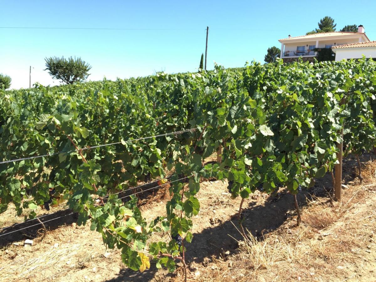 Quinta Dos Espinheiros Villa Provesende Bilik gambar